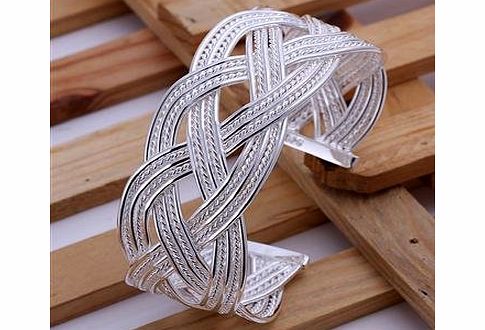 New Fashion Jewelry Classic 925 Beautiful Womens Silver Plating Jewelry Bracelets Chain (LKNSPCB033)