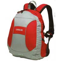 Pico 10 Rucksack Red and Steel