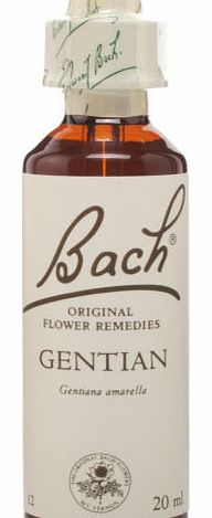 Bach Gentian
