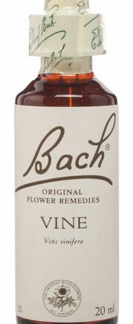 Bach Vine