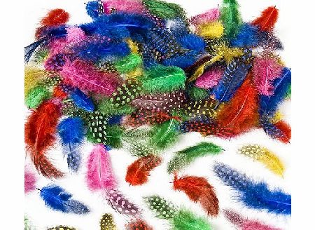 Baker Ross Speckled Coloured Craft Feathers Assorted Colours Childrens Art Supplies Collage (Pack of 120)