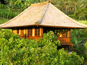Bali eco bungalows in Indonesia