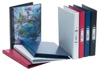 Bantex A4 Vision white ring binder with clear