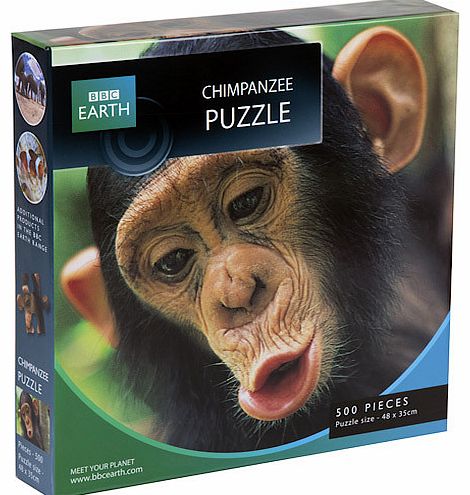 BBC Earth Chimpanzee Puzzle