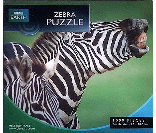 BBC Earth Zebra Puzzle