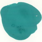 Turquoise Ready Mix Poster Paint 600ml Bottle