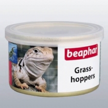 Canned Grasshopper Paste 35G