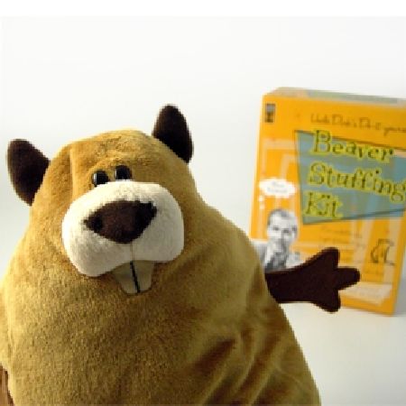 Beaver Stuffing Kit - Cuddly Toy Beaver