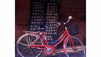 Beijing by Bike - Small Group Tour - Adult
