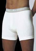 Cotton Basics fitted cotton stretch boxer short with button front