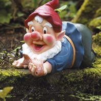 Bermuda Pond Gnome - Caught in the Act