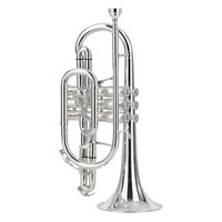 Besson Sovereign BE928G Bb Cornet Silver Plate