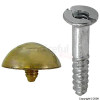 Best Mirror Screws With Brass Domes 1` Pack