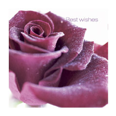 Best Wishes Card Purple Flowers