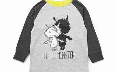 Boys Little Monster Raglan Sleeved Top, grey