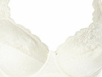 Bhs Cream Jacquard and Lace Underwired DD-G Bra,