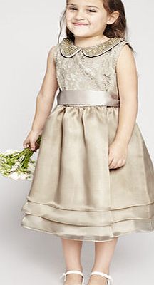 Bhs Peony Champagne Flower Girl Dress, champagne