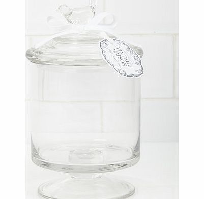 Bhs Small Glass Bird Jar, clear 1943012346