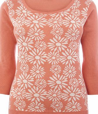 Bhs Womens Coral/White Daisy Jumper, coral/white