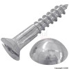 big Bags 1` Chrome Plated Mirror Screws