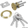 Bird Brass Replacement Cylinder With 4 Keys