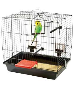Bird Starter Kit