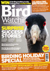 Bird Watching 6 Months Direct Debit Plus HAMA