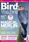 Bird Watching 6 Months Direct Debit to UK