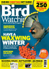 Bird Watching For The First 3 Issues, Then