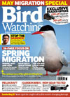 Bird Watching Quarterly Direct Debit   Bag of