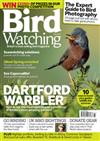 Bird Watching Quarterly Direct Debit   Blue Bird