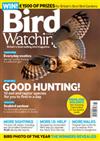 Bird Watching Six Months Direct Debit to UK