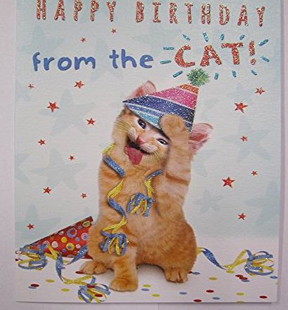 Birthday Cards General FANTASTIC GLITTER COATED COLOURFUL FROM THE CAT BIRTHDAY GREETING CARD