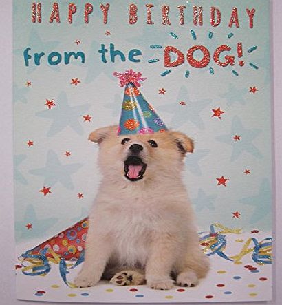 Birthday Cards General FANTASTIC GLITTER COATED COLOURFUL FROM THE DOG BIRTHDAY GREETING CARD