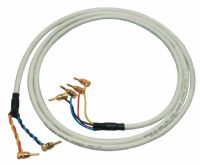 Black Rhodium AST200x2 Bi-Wire Speaker Cable - 10 Metres- : No Terminations