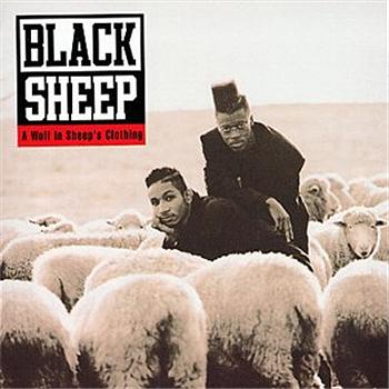 black-sheep-a-wolf-in-sheeps-clothing.jpg