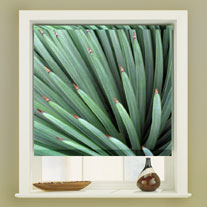 blinds-supermarket.com cacti needles