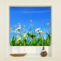 blinds-supermarket.com meadow breeze