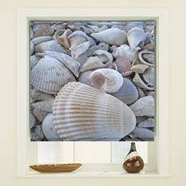 blinds-supermarket.com shells