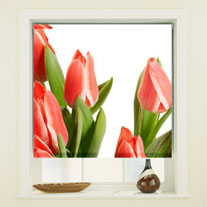 blinds-supermarket.com tulip bouquet