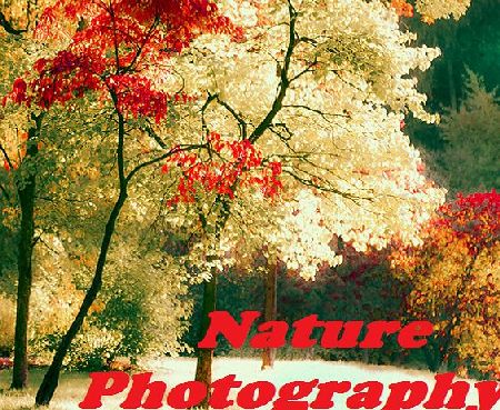 Bliss Apps Nature Photography
