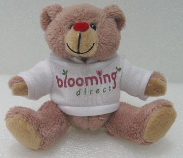 Blooming Direct Teddy Bear