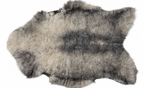 Icelandic sheepskin - grey `One size