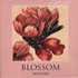 Blossom notecards