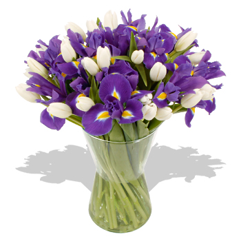 Blue Irises and White Tulips Bouquet - flowers