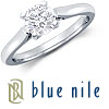 Blue Nile Petite Trellis Engagement Ring Setting in Platinum