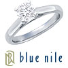 Blue Nile Platinum Tapered Cathedral Setting