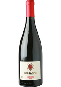 Bodegas San Alexandro 2006 Garnacha `inas Viejas`Baltasar Gracian