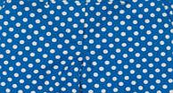 Boden Bistro Shorts, Blue Spot 34691683