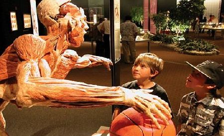 Body Worlds - Skip the Line Admission